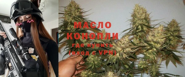 стаф Осинники