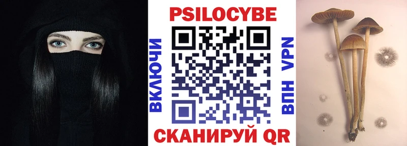 хочу наркоту Инза OMG как зайти Псилоцибиновые грибы Magic Shrooms